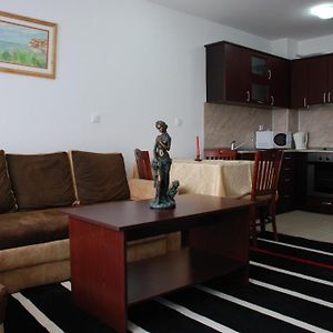 Apartament z 1 sypialnią